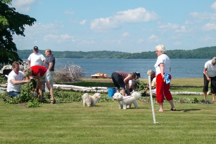 Midsommar Landsjön 2010