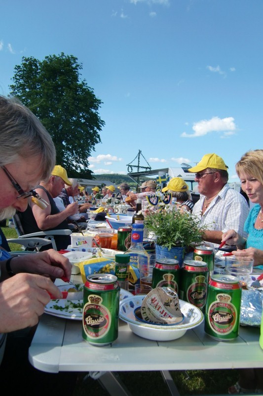 Midsommar Landsjön 2010