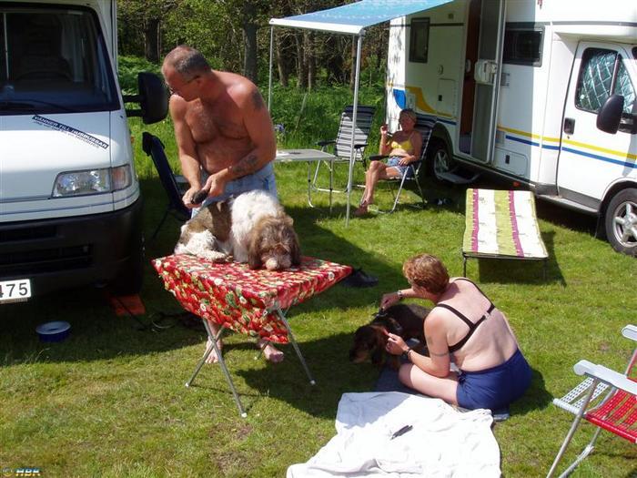 Midsommardagen 2006 i Tjuraviken