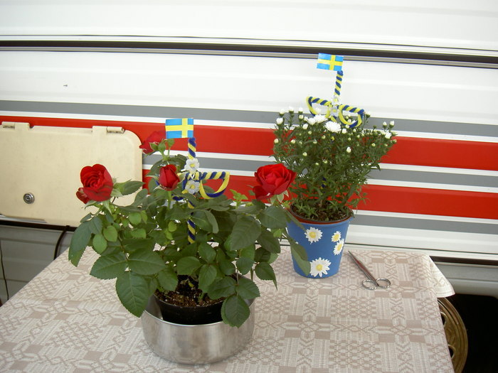 Midsommarträff Hörröd 2008