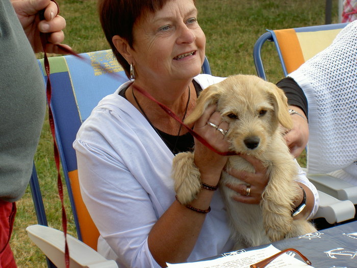 Midsommarträff Hörröd 2008