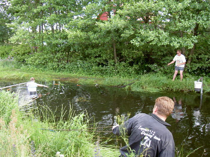 Midsommarträff Hörröd 2008