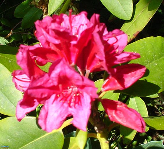 Mina Blandade Bilder