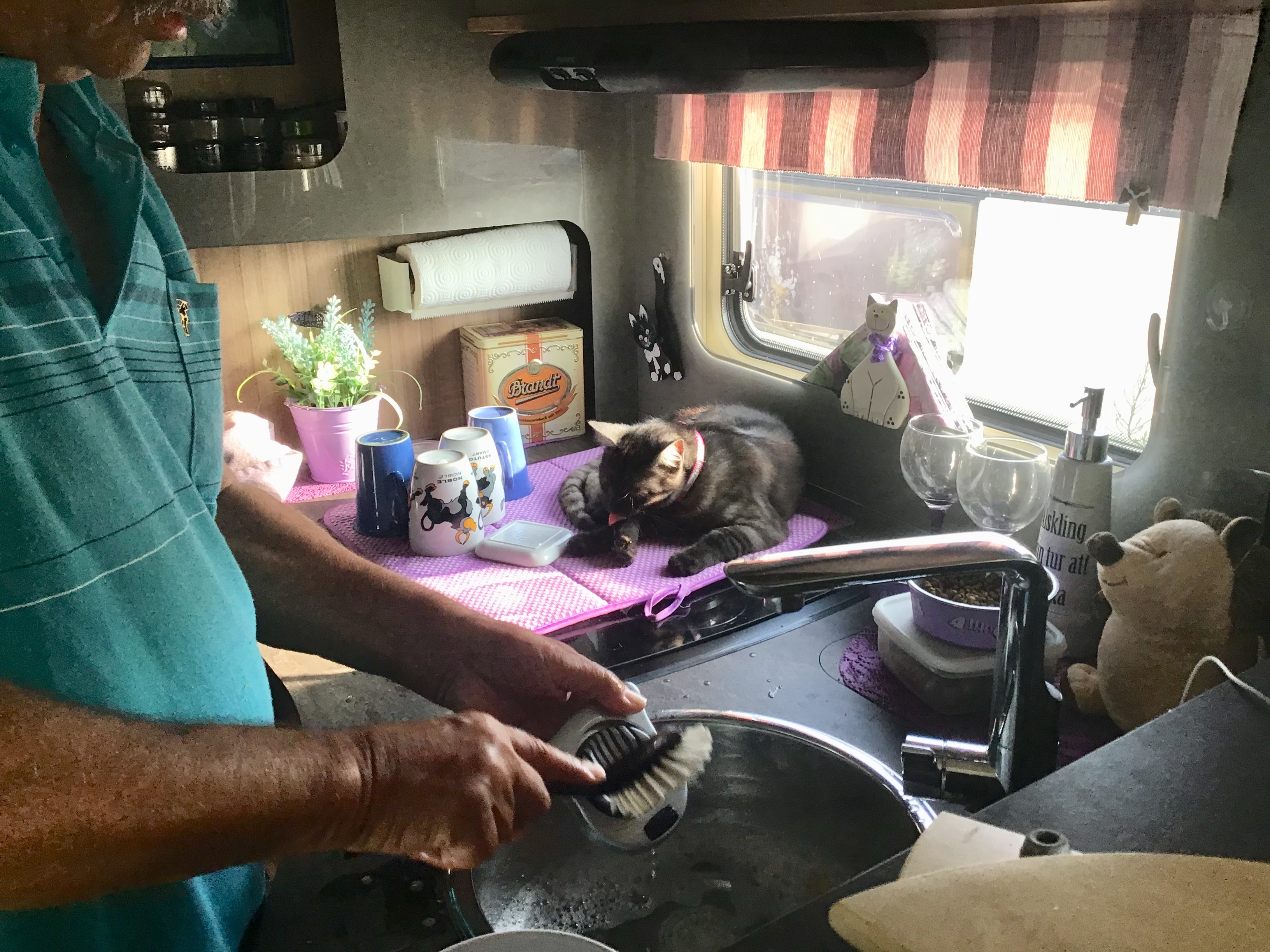 Missan hjälper husse att diska