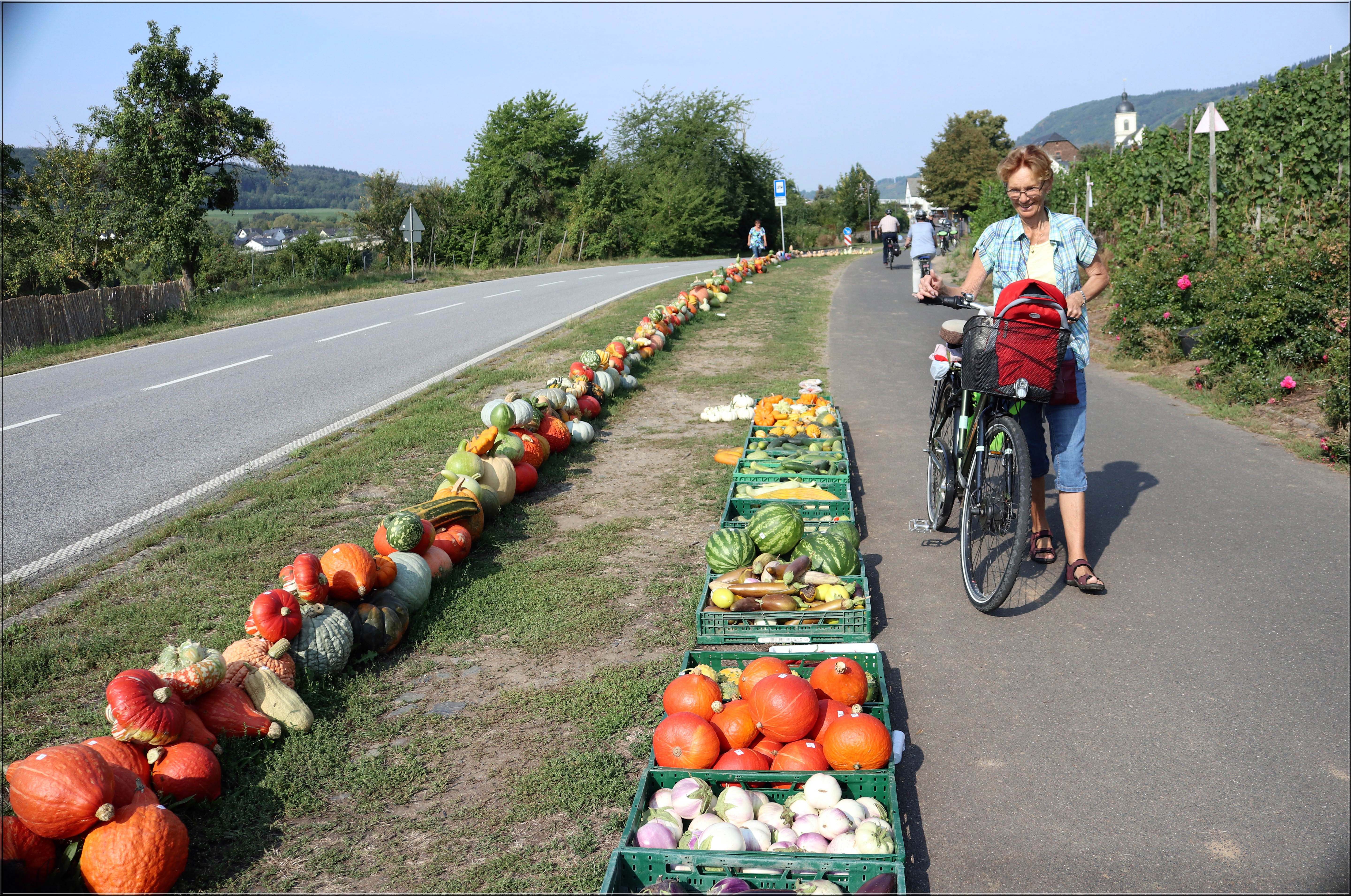 Moseldalen 2018 (8)_redigerad-1