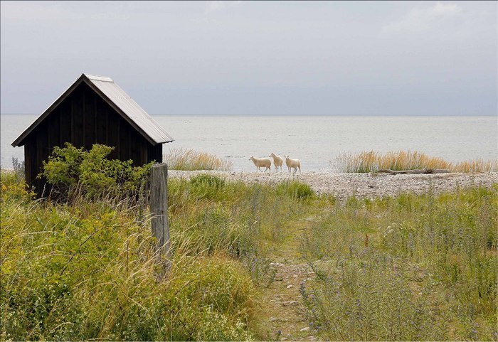 My Pictures 2686 Redigerad 1