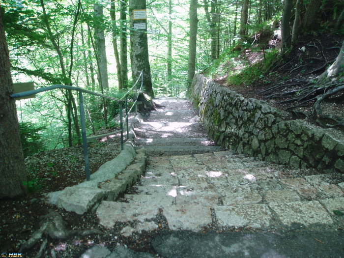 newswanstein(Sagoslottet i fussen) tyskland