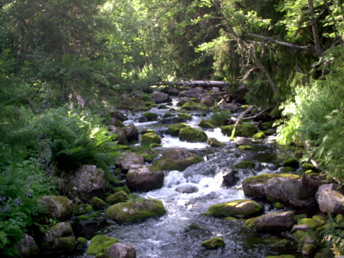 Norge 2006