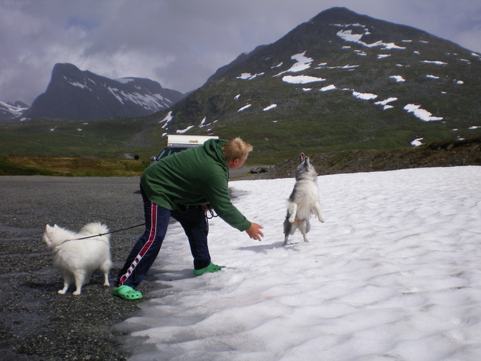 Norgesemester 2008