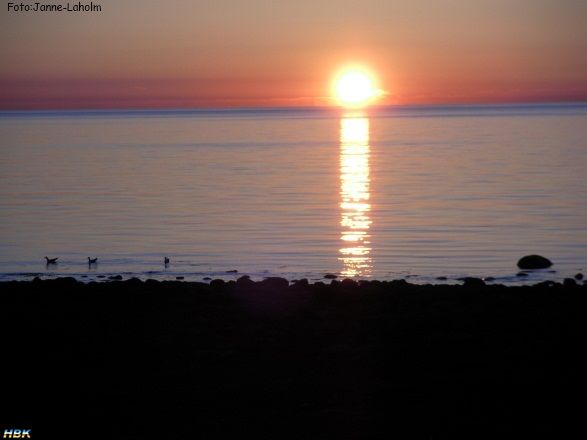 Norrebrohamn