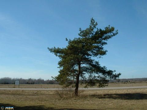 Påsk 2005 på Öland