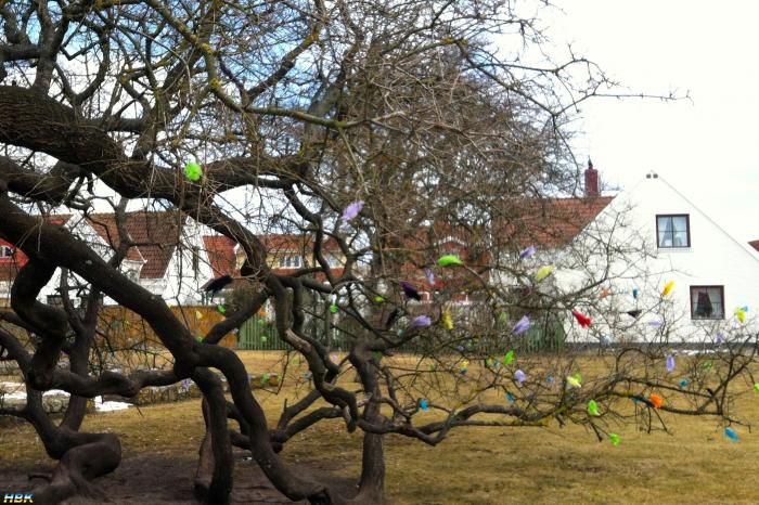 Påskträd I Torekov