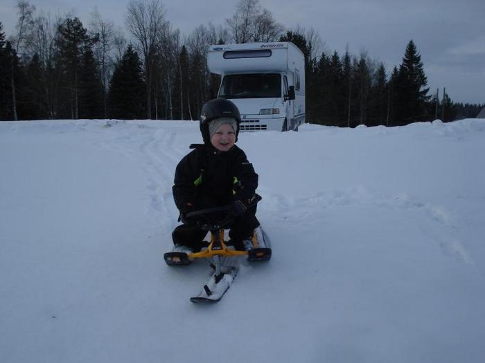 Pulka Race Och Skidåkning