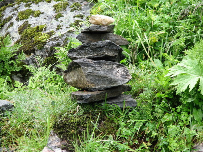 Röldal/odda/geiranger/trollstigen