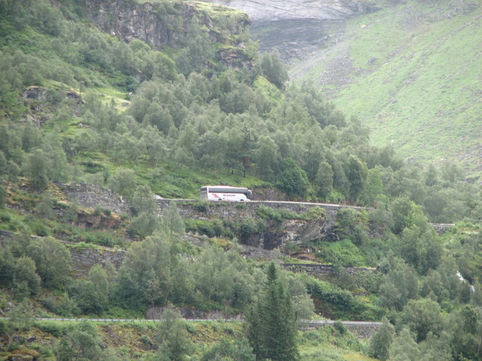 Röldal/odda/geiranger/trollstigen