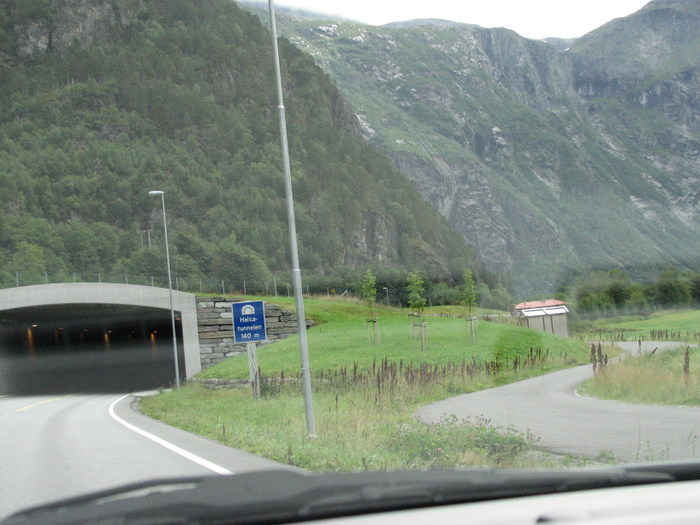 Röldal/odda/geiranger/trollstigen