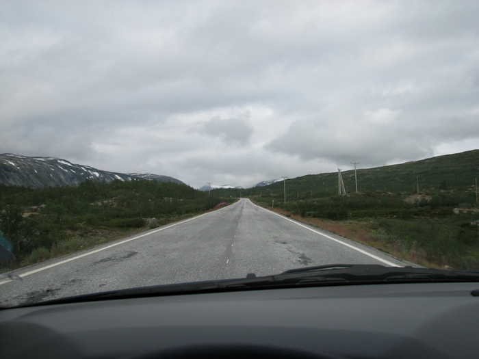 Röldal/odda/geiranger/trollstigen
