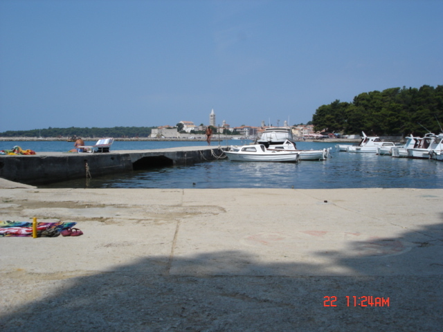 Rab 2005