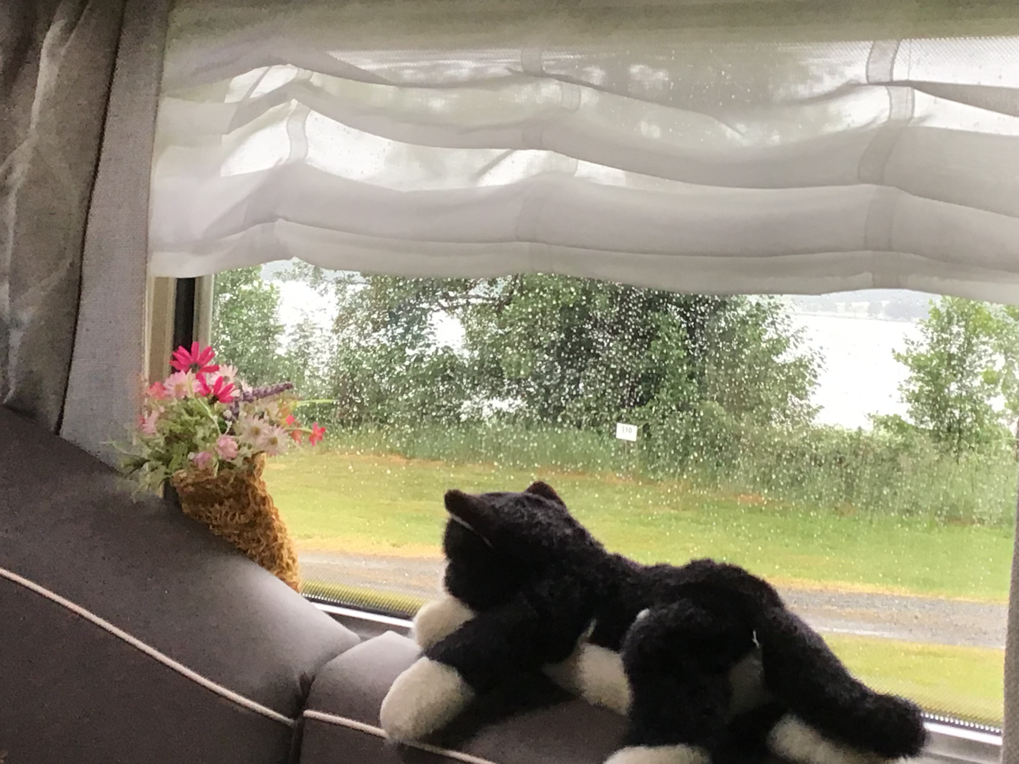 Regnet det bara öser ner.