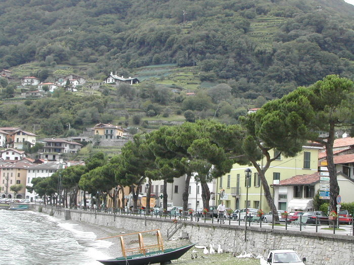 Resa 2007