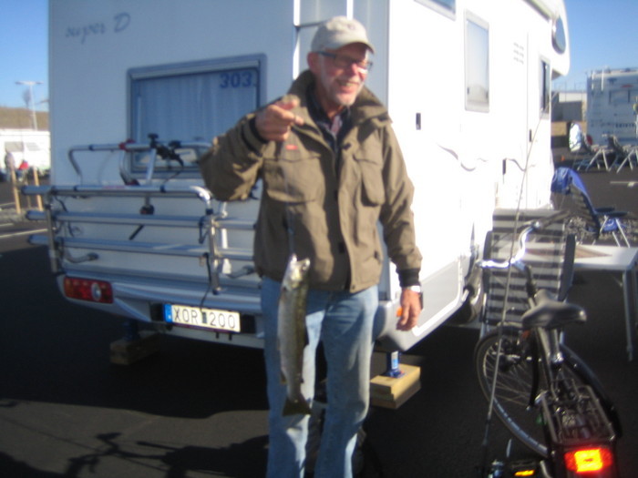 Ringhalsträffen 2008