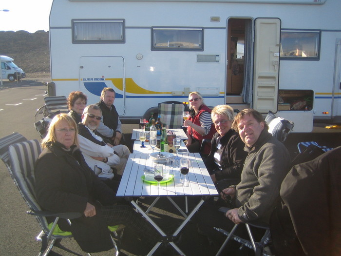 Ringhalsträffen 2008
