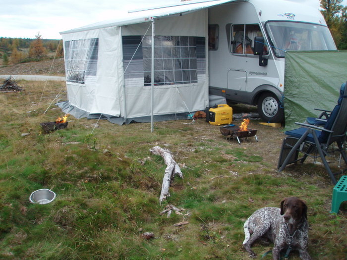 Rypejakt I Fåvang I Gudbransdalen 2008