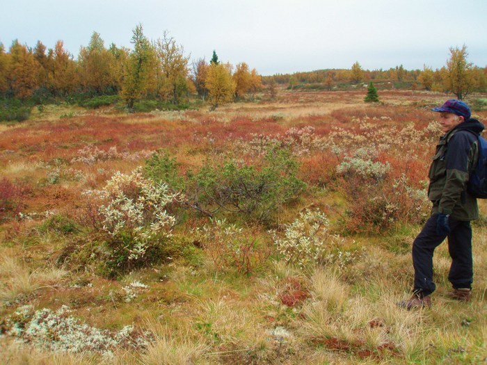 Rypejakt I Fåvang I Gudbransdalen 2008