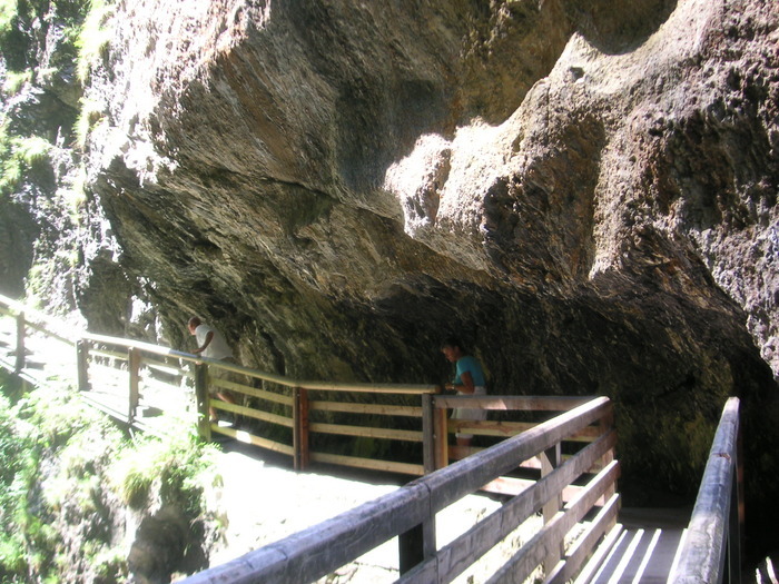 Semester 2008