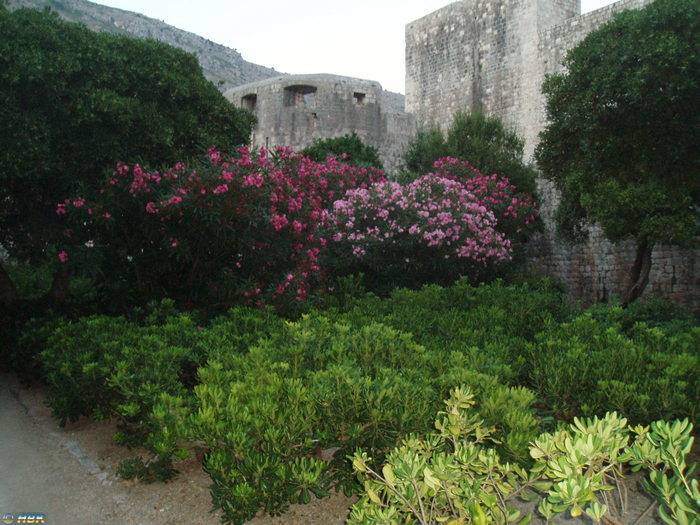 Semester i Kroatien