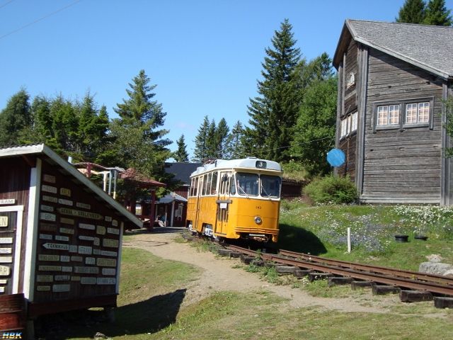 Semestern 2011