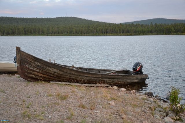 Semestern 2011