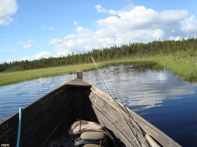 Semestern 2011