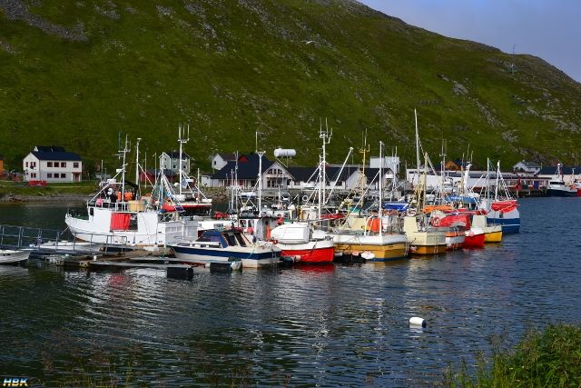 Semestern 2011