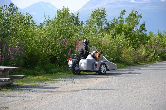 Semestern 2011