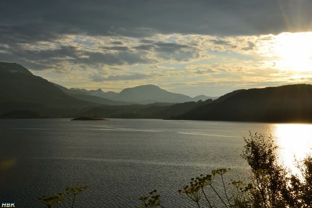 Semestern 2011