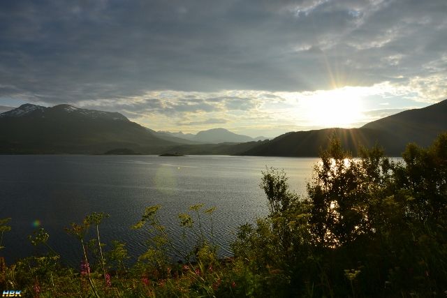 Semestern 2011