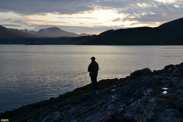 Semestern 2011