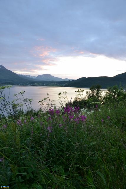 Semestern 2011