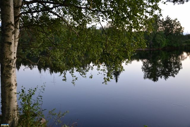 Semestern 2011