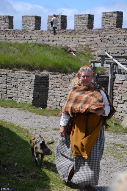 Semestern 2012