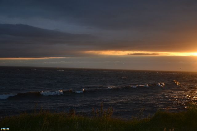 Semestern 2012