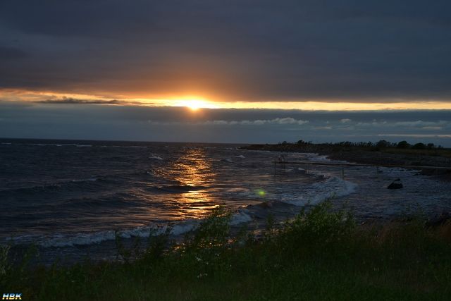 Semestern 2012
