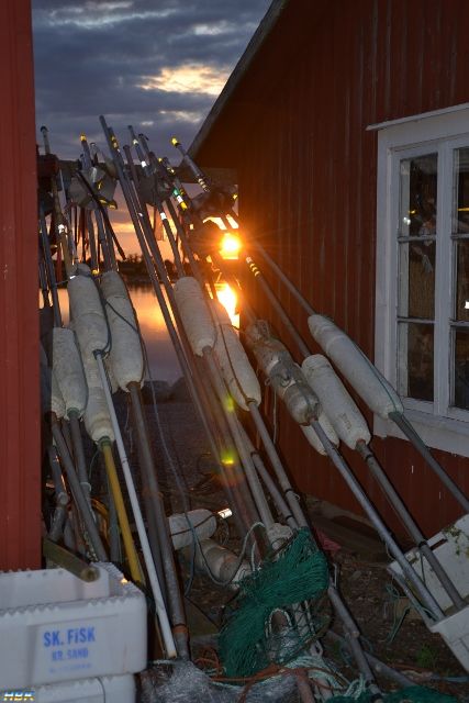 Semestern 2012