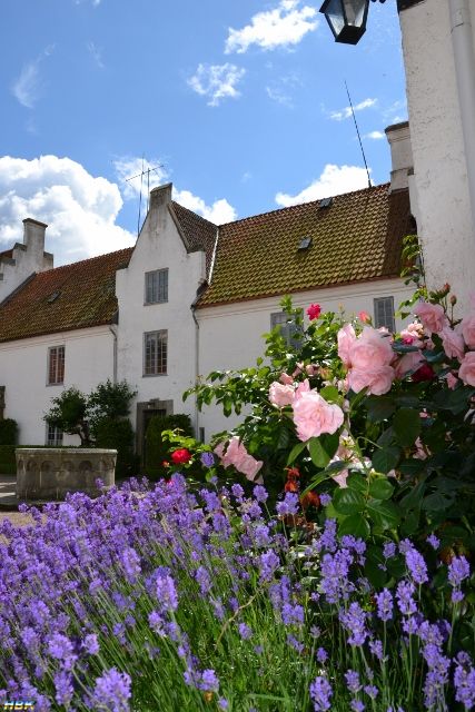 Semestern 2012