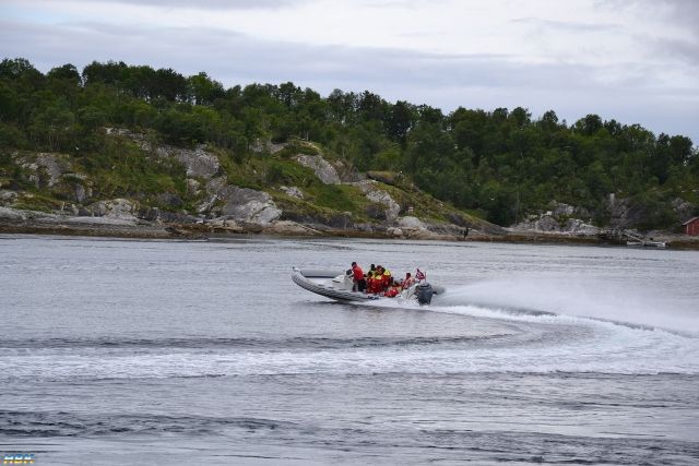 Semestern2011
