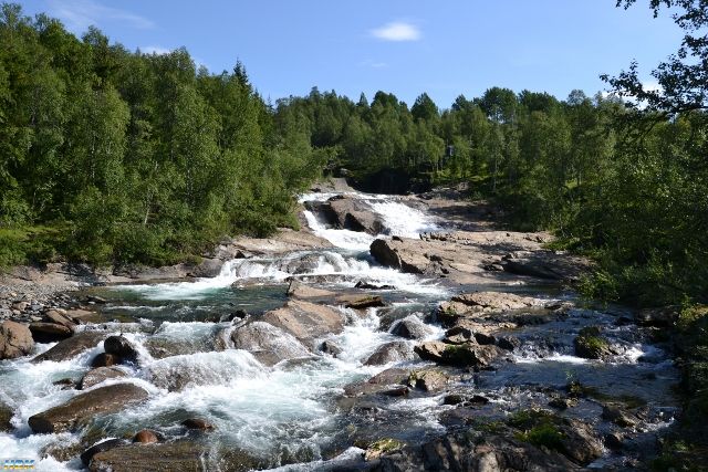 Semestern2011