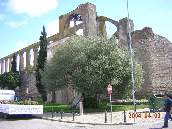 Serpa
