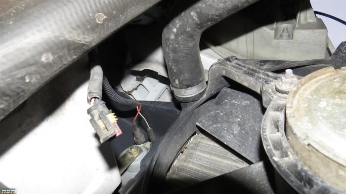 Signalhorn Dukato 97