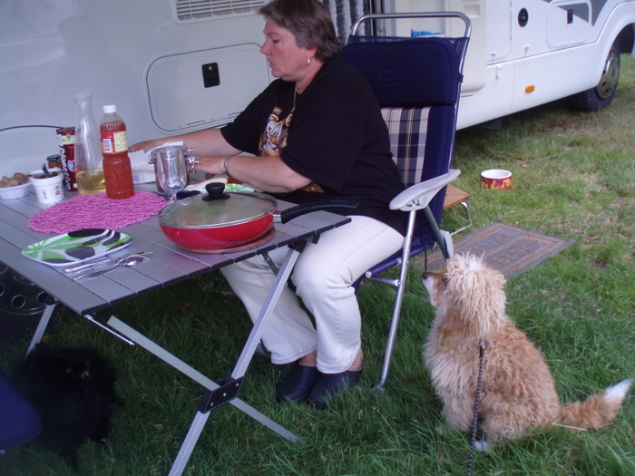 Simlångsdalen Sommar 2009